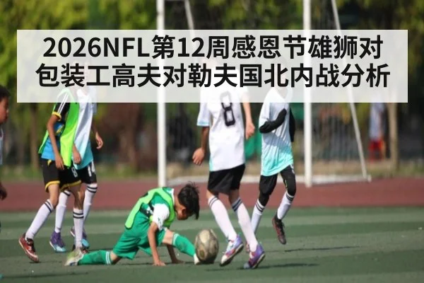 2026NFL第12周感恩节雄狮对包装工高夫对勒夫国北内战分析