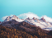 澳网奖金同比增长16%创新高，周杰伦和中国大公司添了一把火