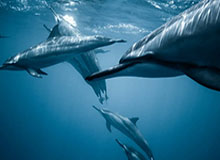 u8官方在线-中国女足主帅：首场比赛预想到不好踢 球队会表现越来越好